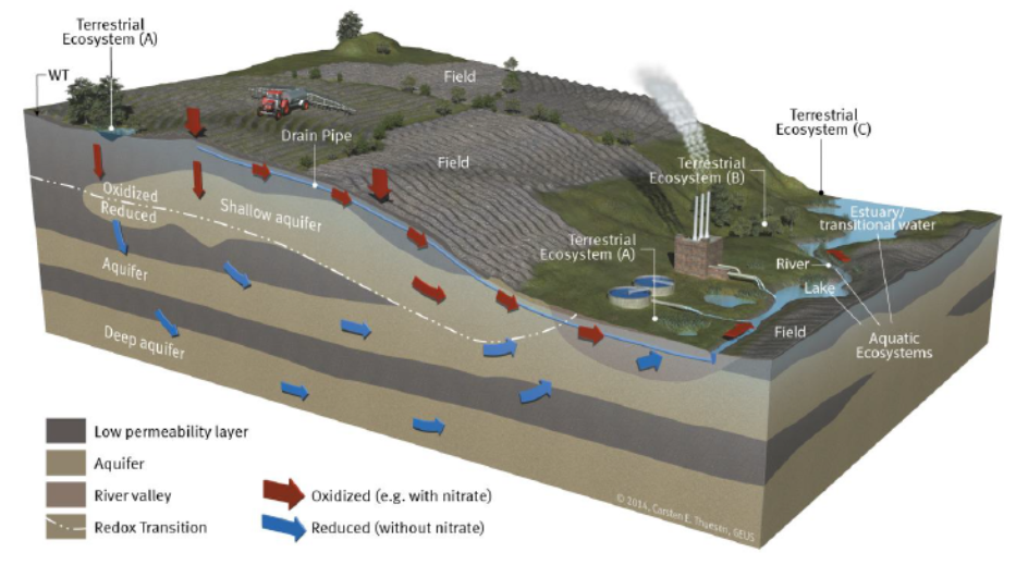 Ground-water Dependent Ecosystem e Normativa Europea